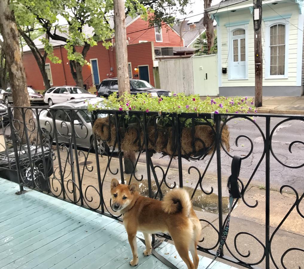 La Dauphine Bed And Breakfast New Orleans Exterior foto